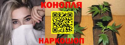 тгк Кимры